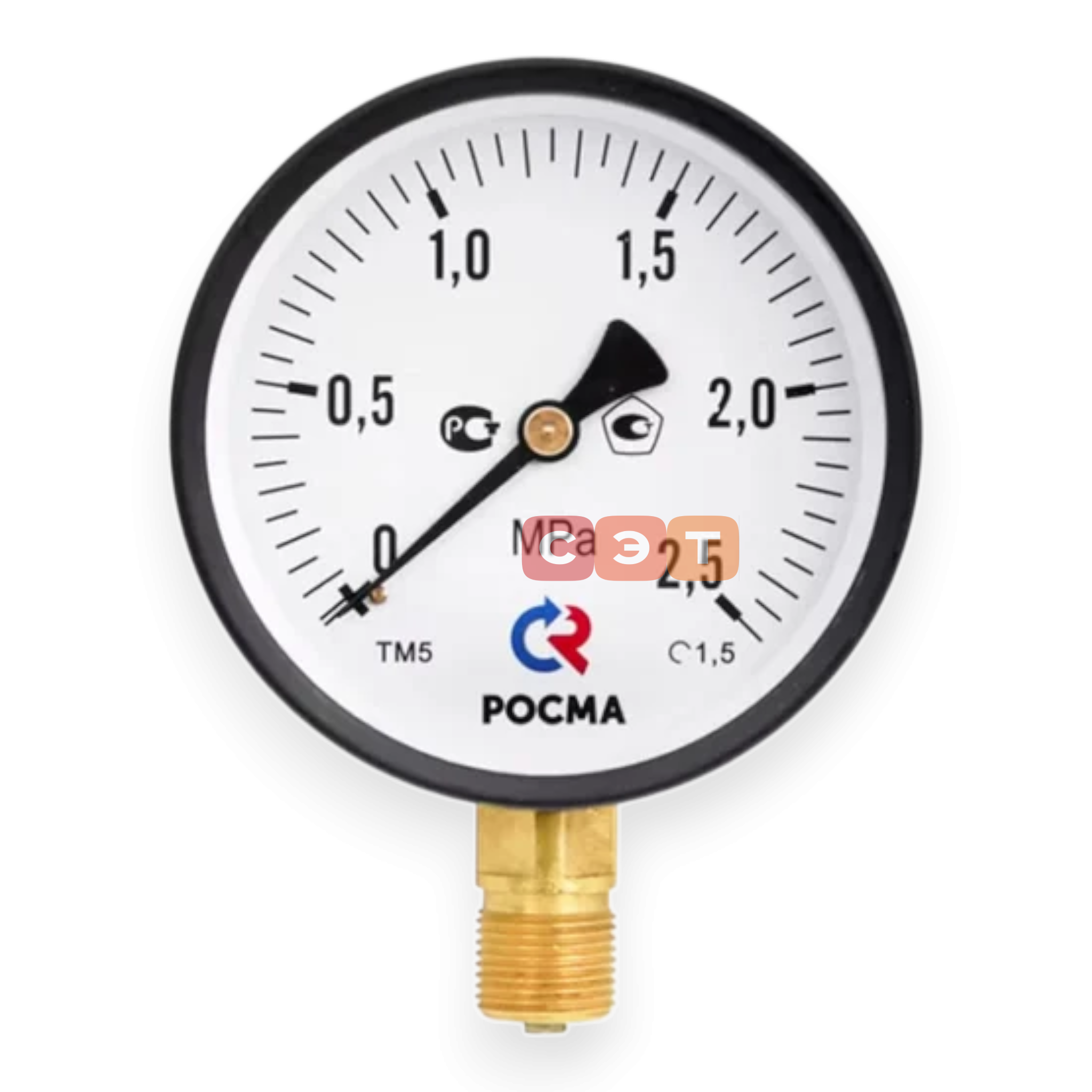 Манометр радиальный ТМ-210P.00(0-1 MPa) / 50 мм, G1/4, кл. точ. 2,5/