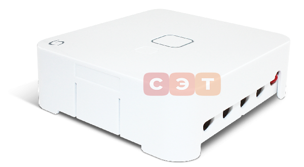Счетчик электроэнергии для системы IT600RFECM600