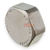 Заглушка ВР латунная (никелированная) 1" General Fittings