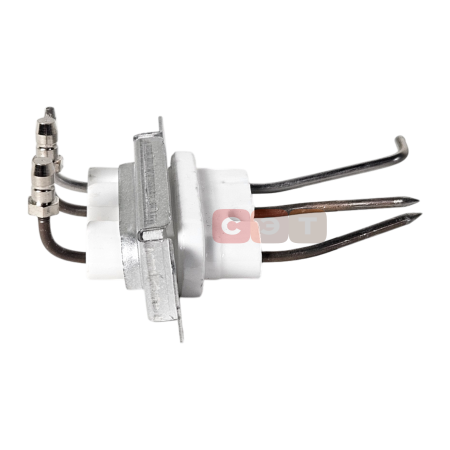 Электрод в сборе 30003875C