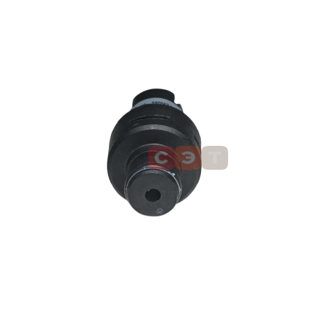 Датчик давления (прессостат) воды S5720500-AAA