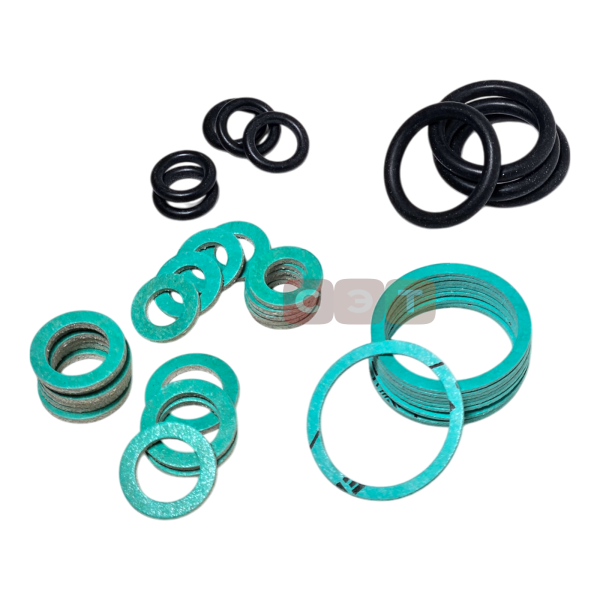 Набор прокладок O'Ring (39838050)
