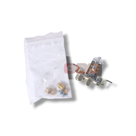 Запальник в сборе Ferroli (39805720)