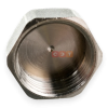 Заглушка ВР латунная (никелированная) 1" General Fittings