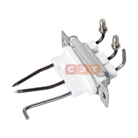 Электрод в сборе 30003875C