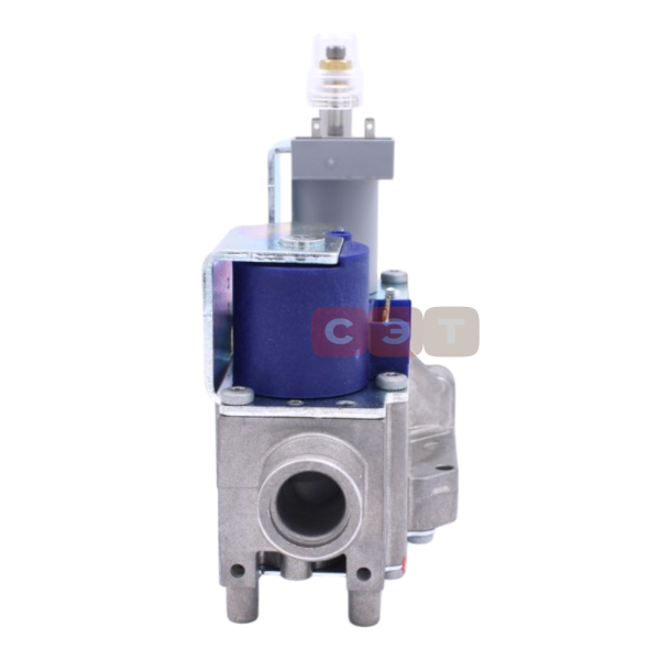 Газовый клапан 0020228138-AAA