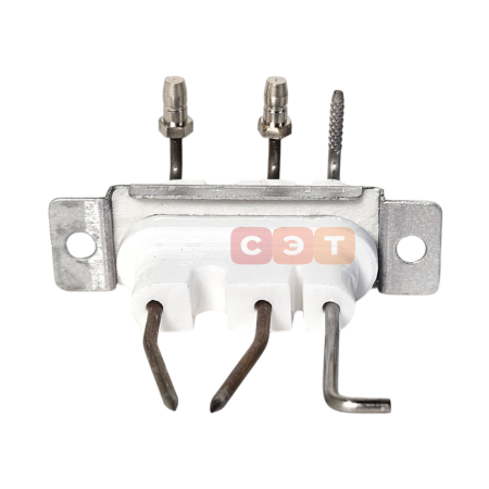 Электрод в сборе 30003875C