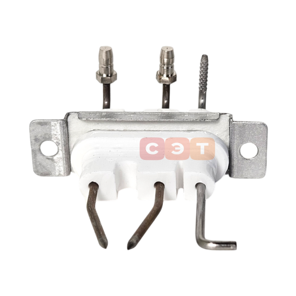 Электрод в сборе 30003875C