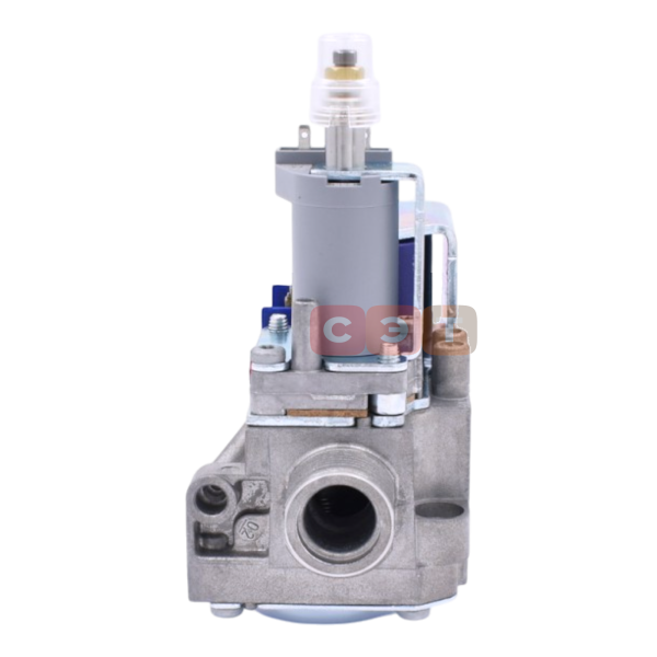 Газовый клапан 0020228138-AAA