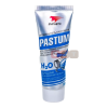 Паста уплотнительная Pastum H2O  70 гр (сантехническая)